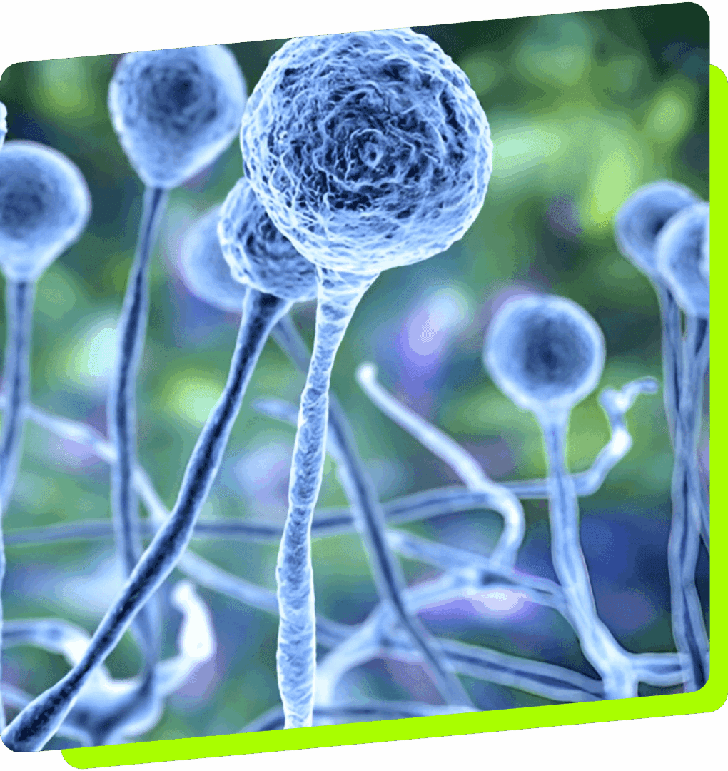 Microscopic view of neural or cellular structures with glowing nodes.